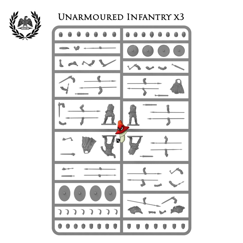 Image #19