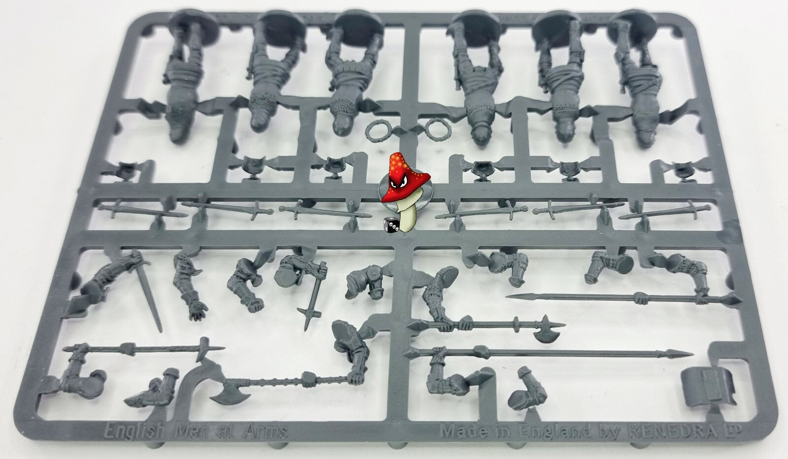 Image #8