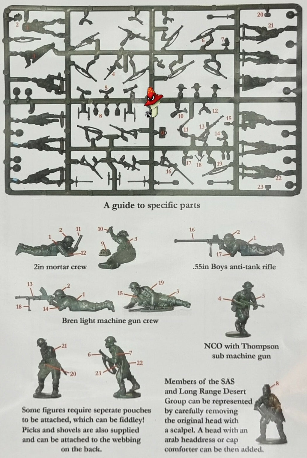Image #5