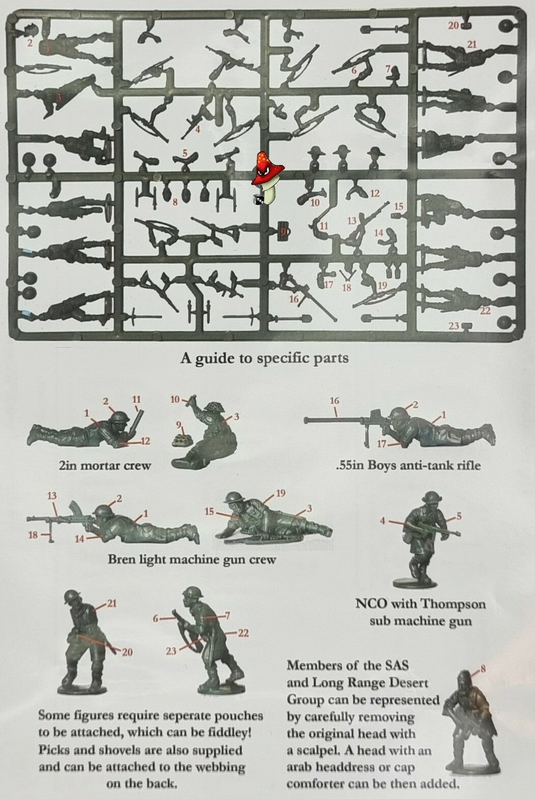 Image #5
