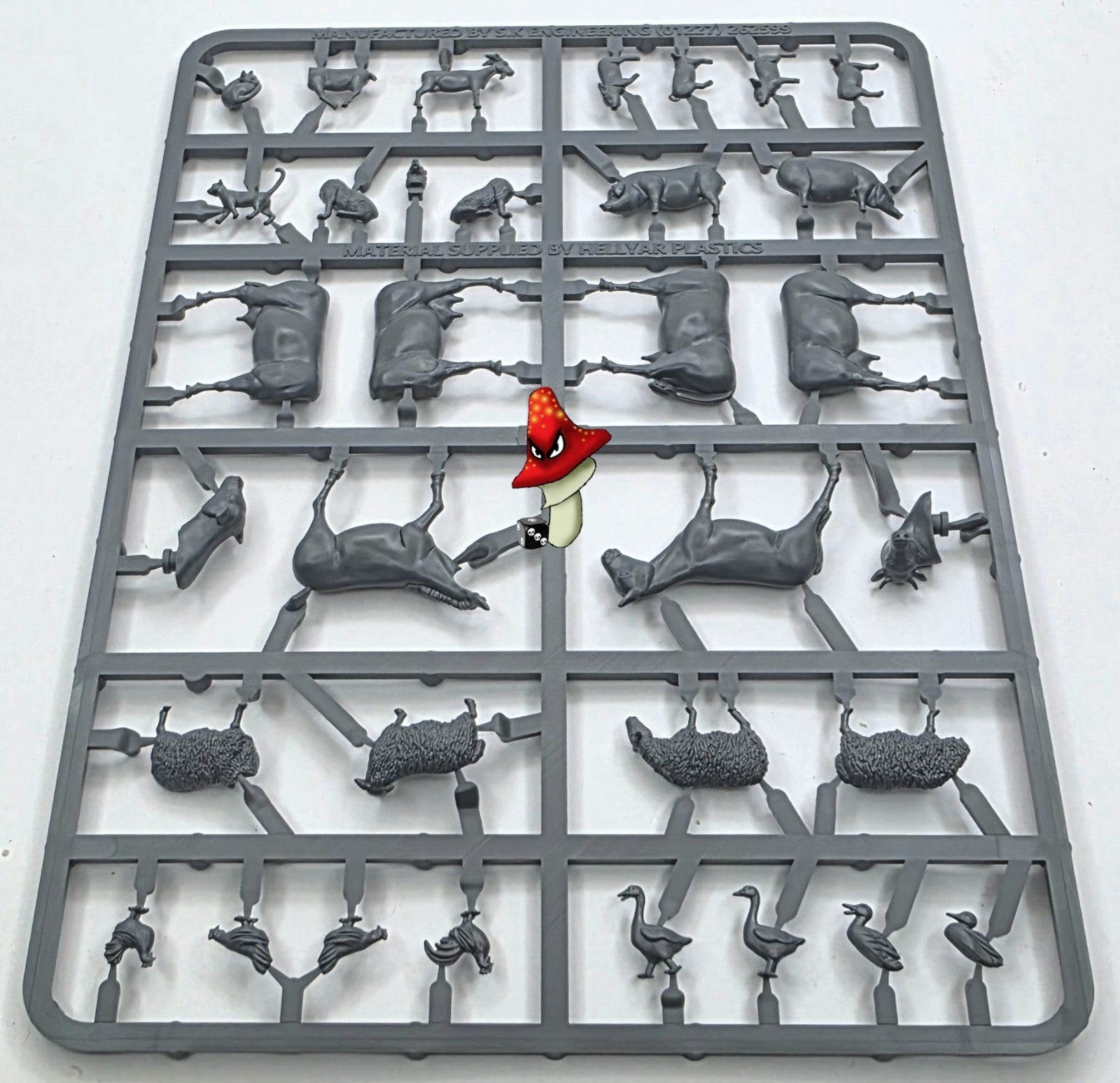 Image #7
