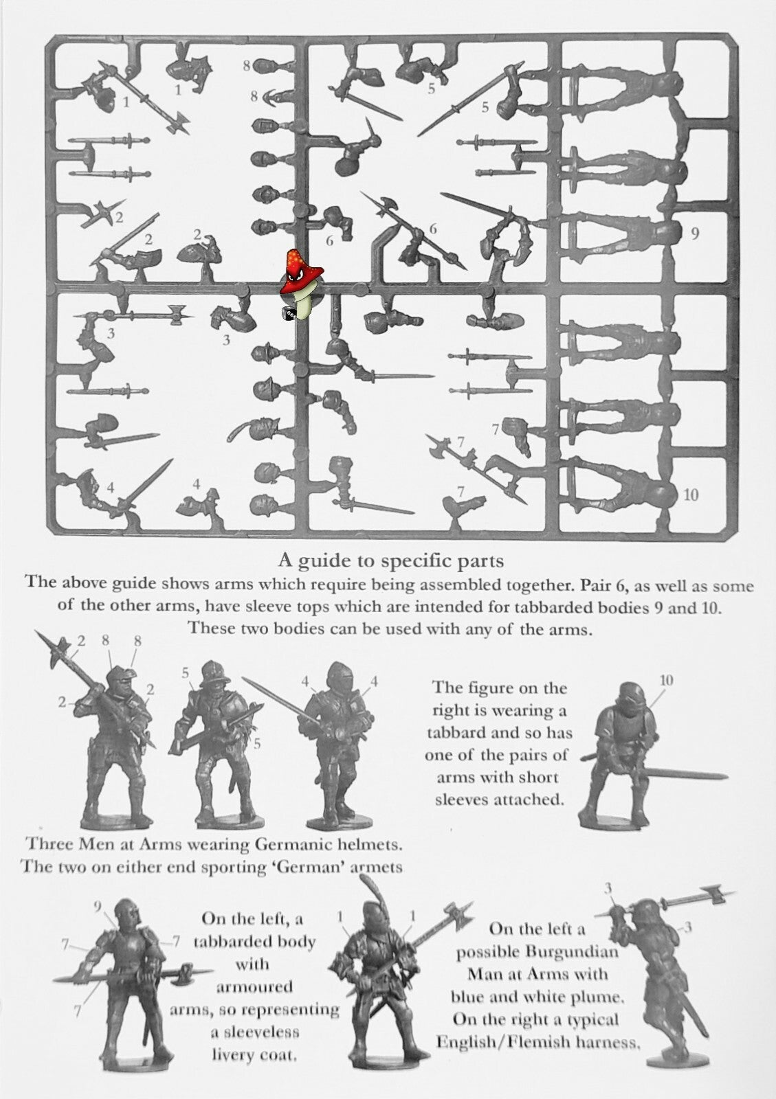 Image #7