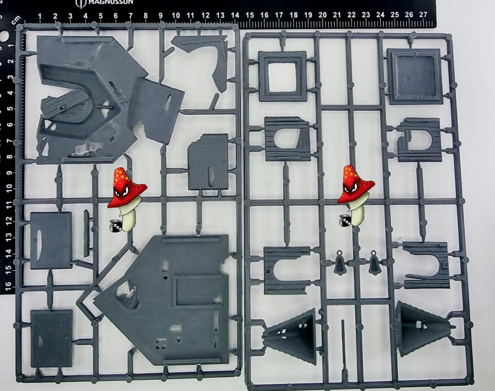 Image #4