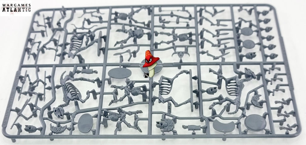 Image #5