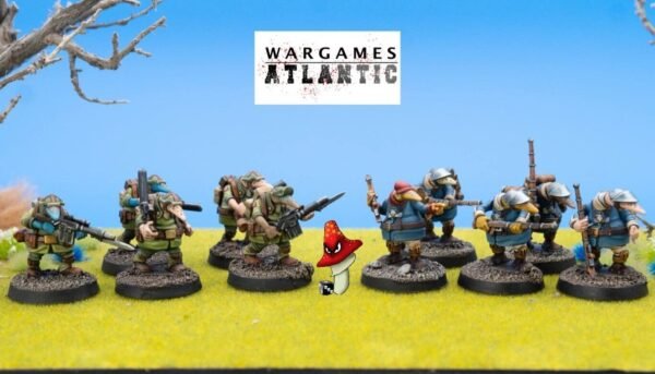 Wargames Atlantic - This Quar's War: Clash of Rhyfles Game Rules & figures 28mm - Image 10