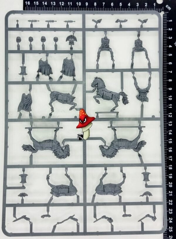 Victrix Early Imperial Roman Mounted Generals 1 x Plastic sprue 28mm 1/56 Scale - Image 2