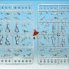 Stargrave Troopers 1 x sprue: 5 x figures 28mm 1/56 scale North Star Miniatures - Image 2