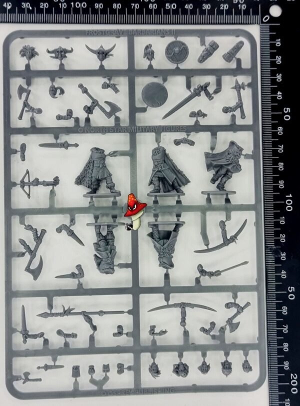 Female Barbarians II Plastic Sprue unboxed (Frostgrave)  FGVP10 28mm 1/56 scale - Image 4