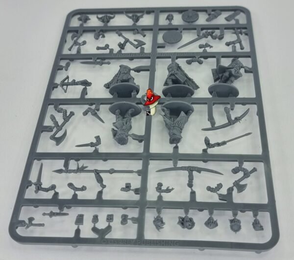 Female Barbarians II Plastic Sprue unboxed (Frostgrave)  FGVP10 28mm 1/56 scale - Image 10