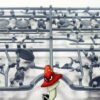 Classic Fantasy Skeleton Warriors Wargames Atlantic 28mm 1/56 1 sprue unboxed - Image 8