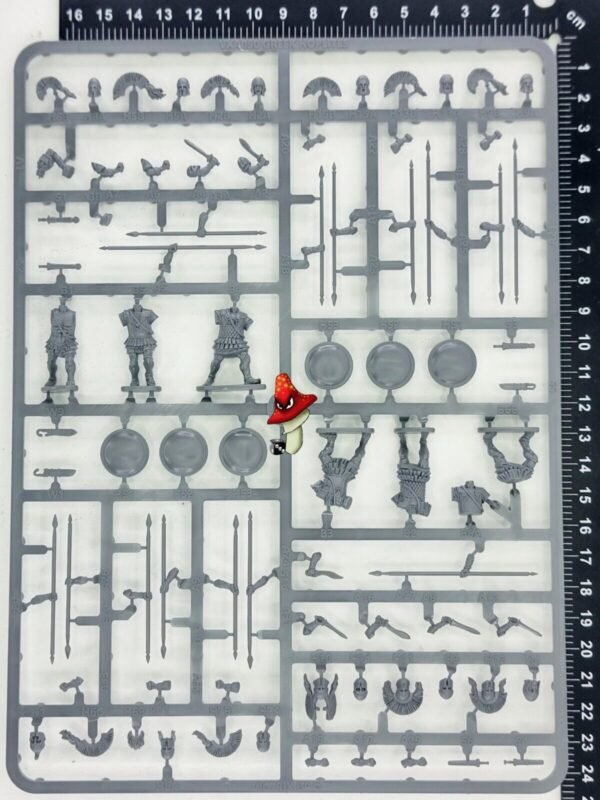 Victrix Greek Hoplites 28mm 1/56 scale 1 x Sprue historical Greek & Persian Wars - Image 2