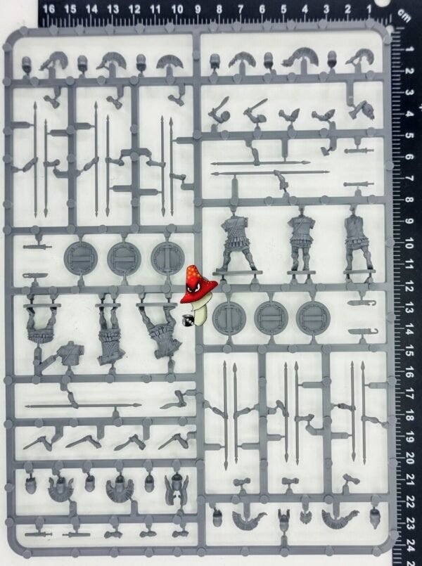 Victrix Greek Hoplites 28mm 1/56 scale 1 x Sprue historical Greek & Persian Wars - Image 3