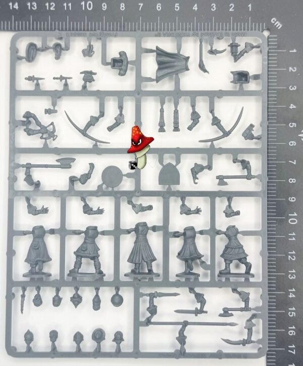 Frostgrave Female Soldiers II  1 X Plastic Sprue unboxed 28mm 1/56 scale figures - Image 3