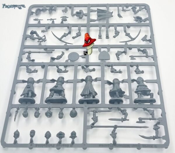 Frostgrave Female Soldiers II  1 X Plastic Sprue unboxed 28mm 1/56 scale figures - Image 5