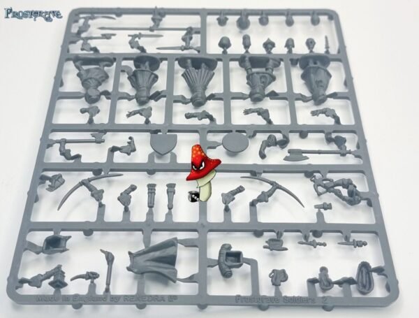 Frostgrave Female Soldiers II  1 X Plastic Sprue unboxed 28mm 1/56 scale figures - Image 7