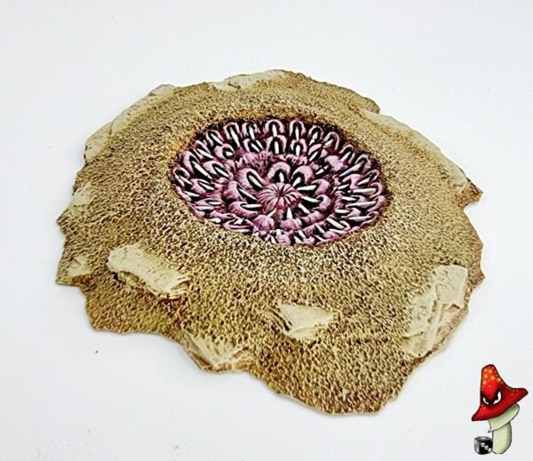 PitBeast / Sarlacc pit resin scenery tyranid 40k wargames tyranids chaos Mawpit - Image 7