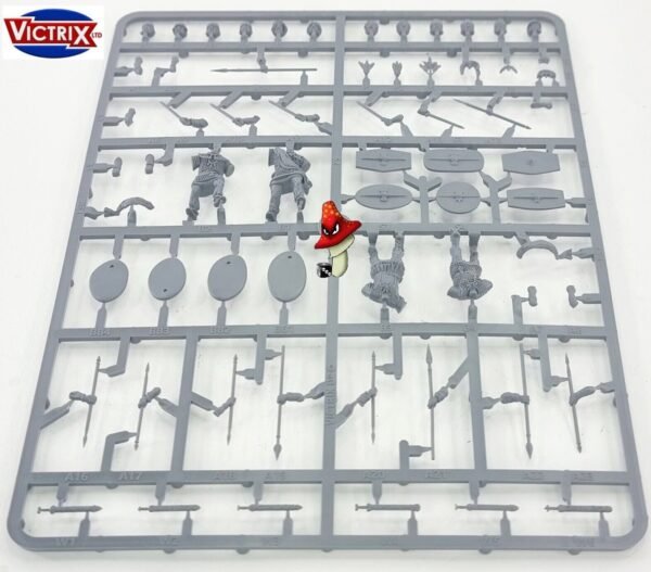 Victrix Gallic Armoured Warriors 28mm 1/56 1 x sprue unboxed Wargames Miniatures - Image 6